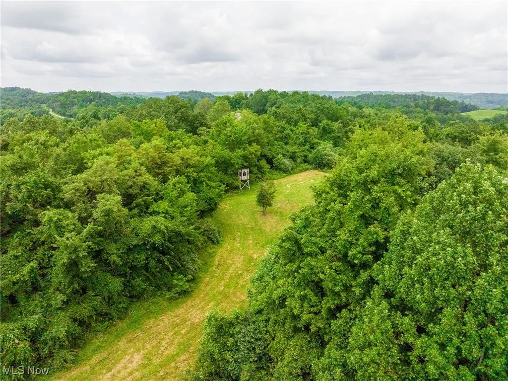 Bird's eye view of a heavily wooded area