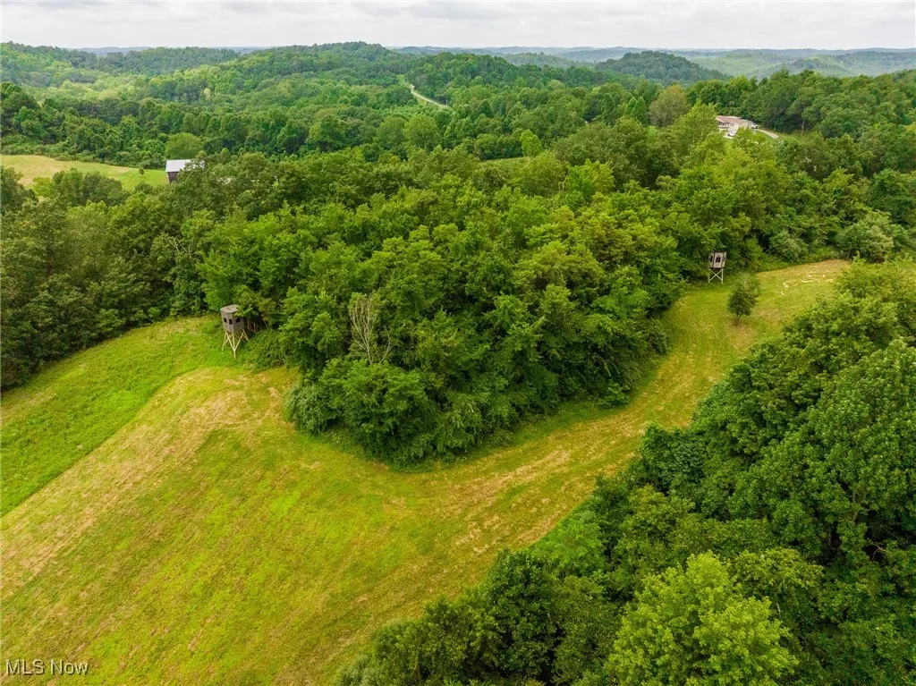 Bird's eye view of a heavily wooded area
