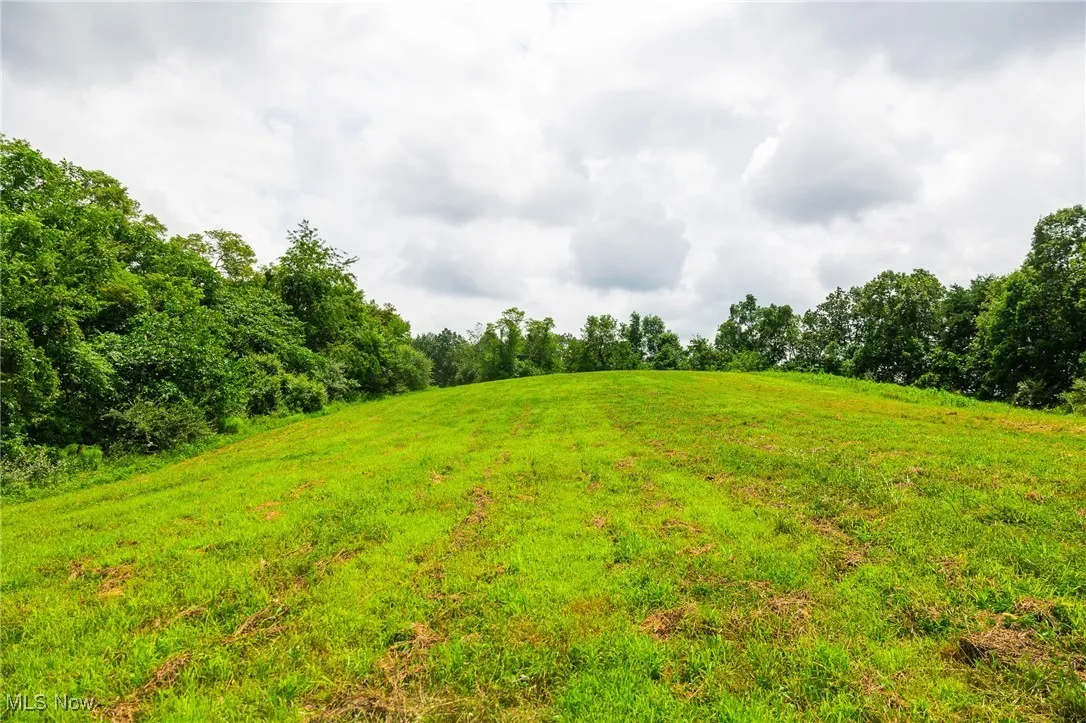 View of local wilderness