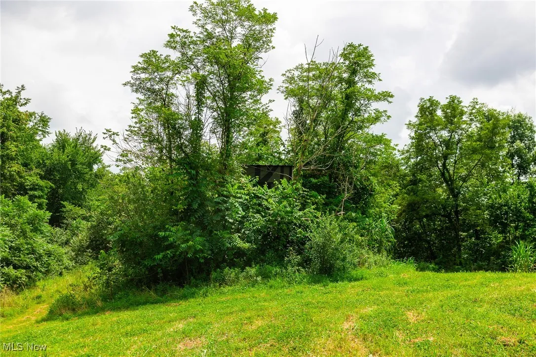 View of undeveloped land