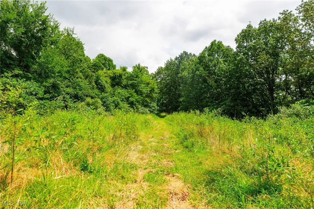View of undeveloped land