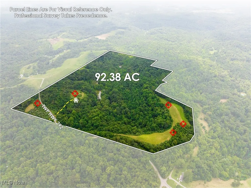 Aerial overview of property's location with a forest and property boundaries highlighted