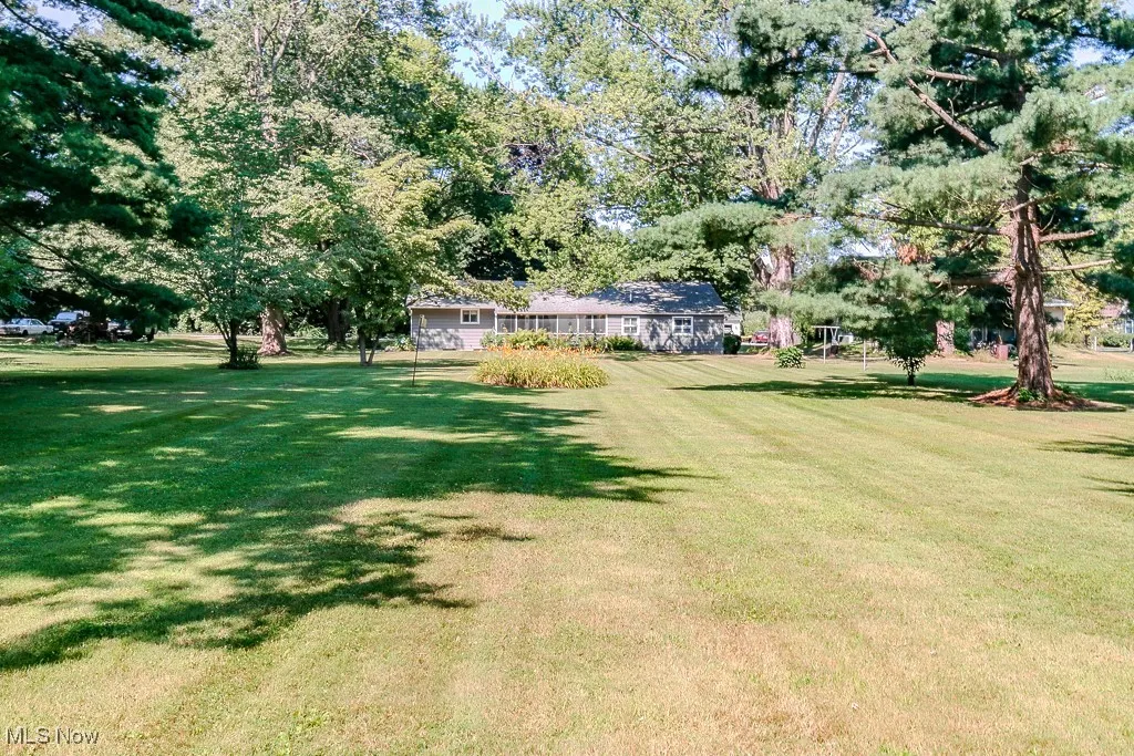 View of grassy yard