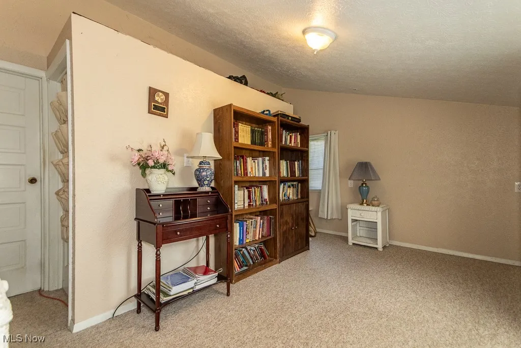 Sitting room with lofted ceiling, carpet, and a textured ceiling