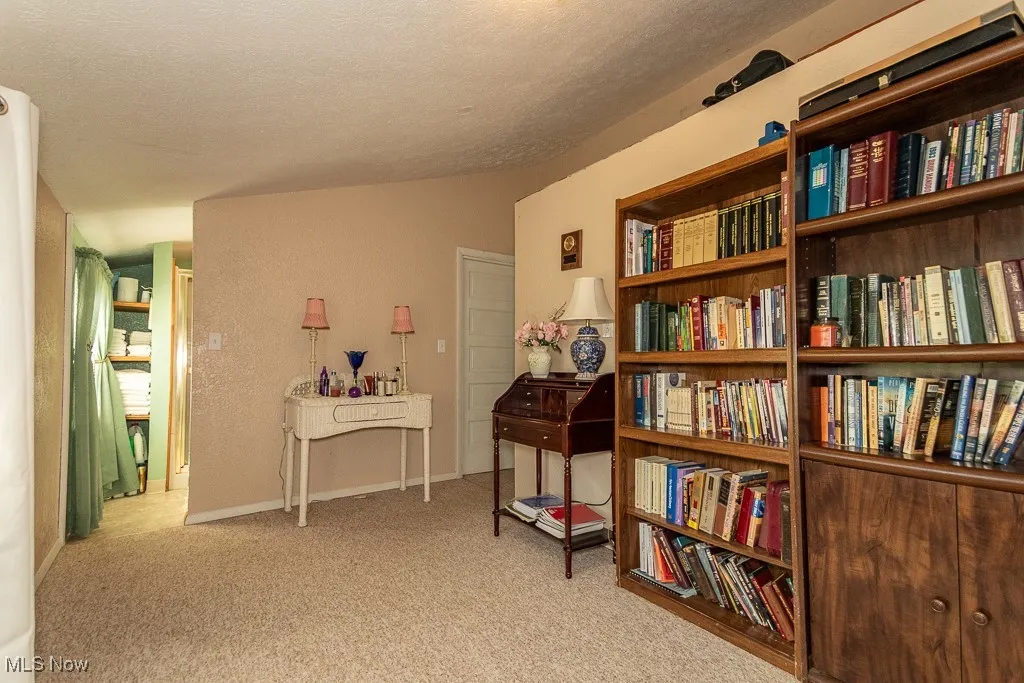 Living area with carpet flooring, a textured ceiling, and vaulted ceiling
