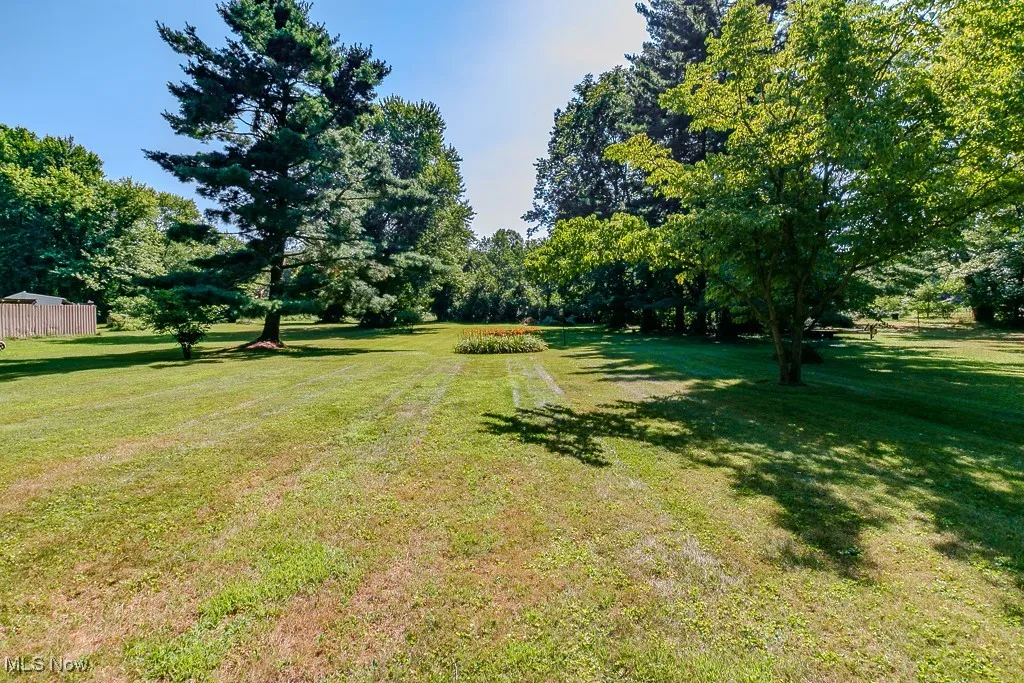 View of green lawn