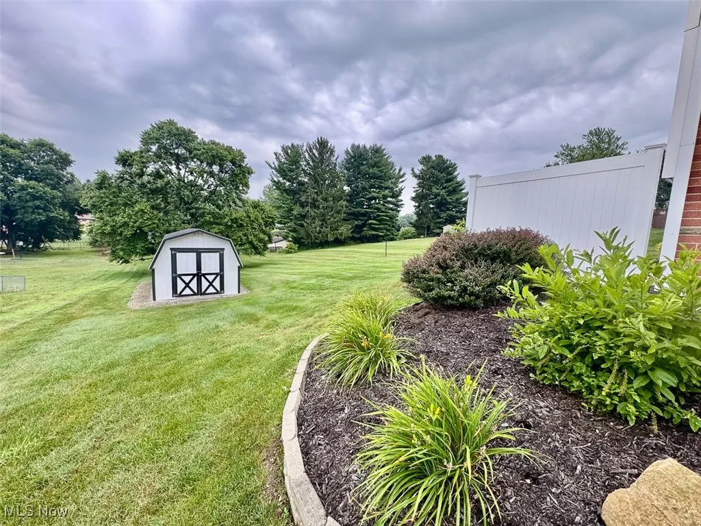 View of grassy yard featuring a shed and view of scattered trees