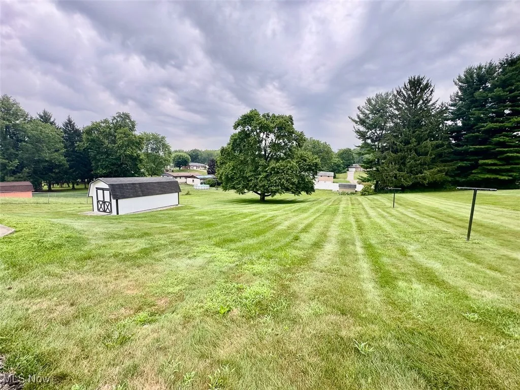 View of green lawn featuring a storage unit