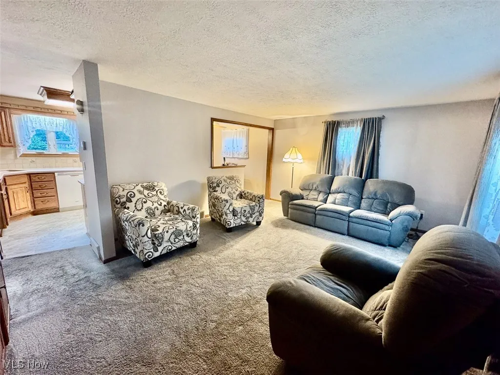 Living room with a textured ceiling and light colored carpet