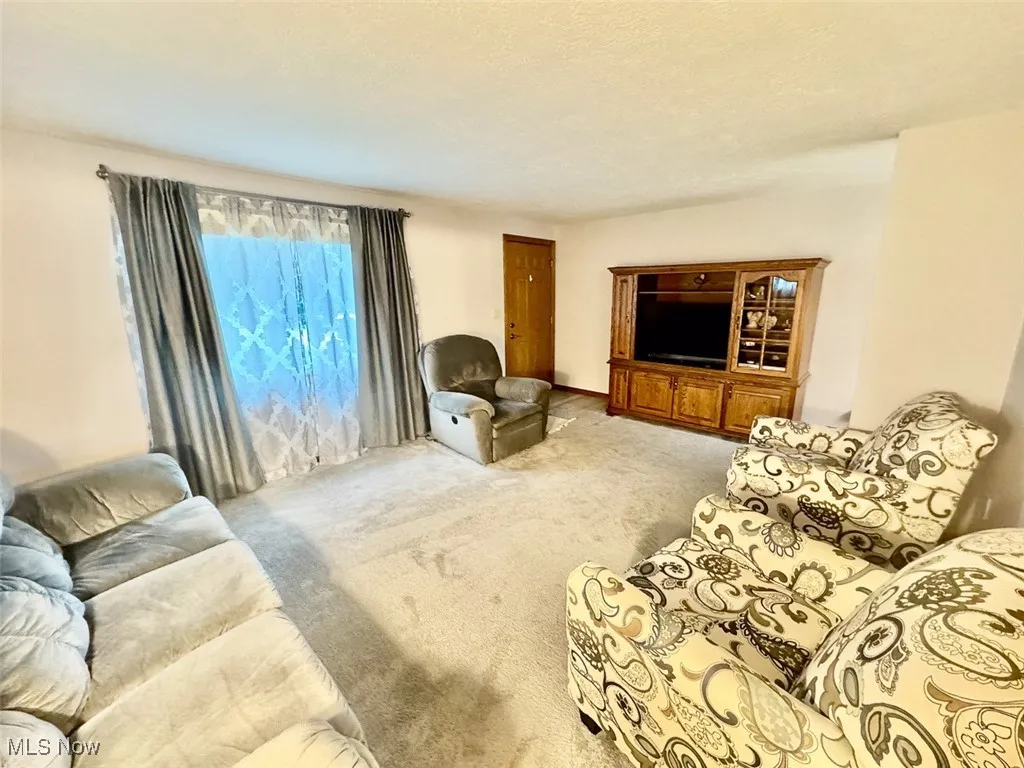 Living room with carpet flooring