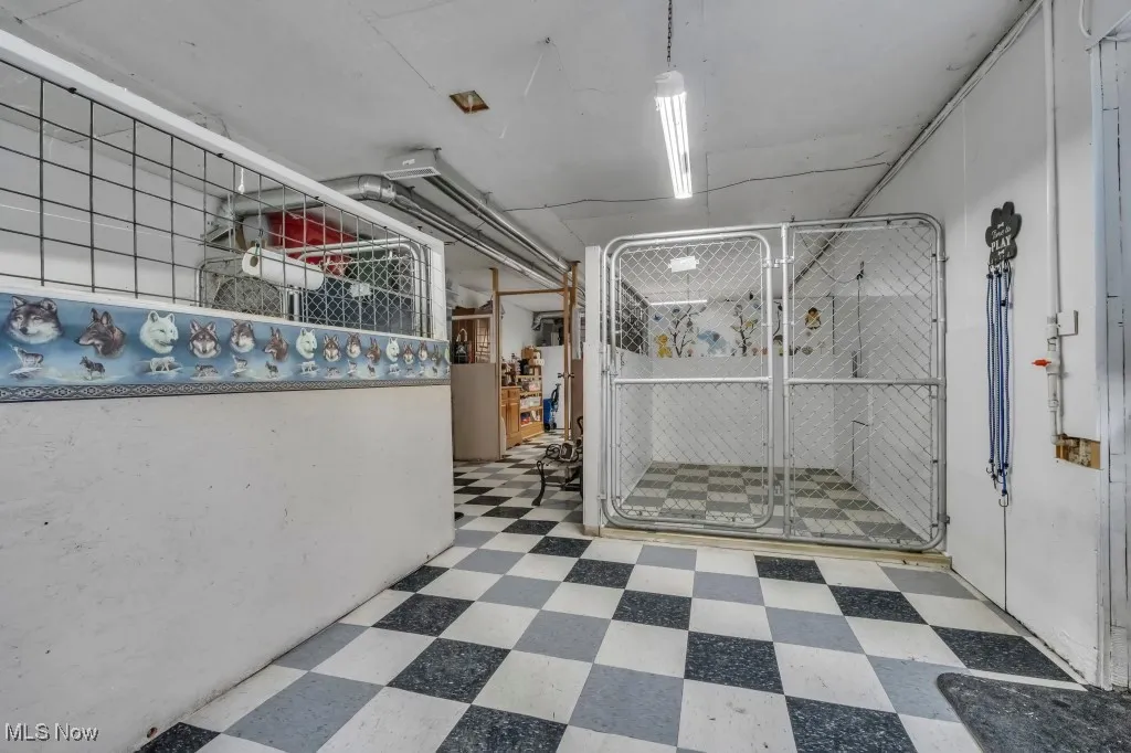 3 kennels here