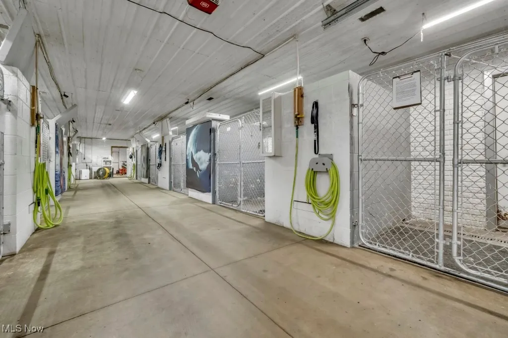 11 kennels here