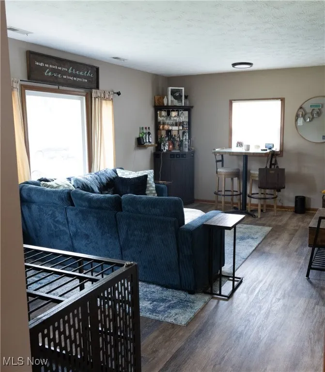 Living room featuring wood finished floors and a textured ceiling