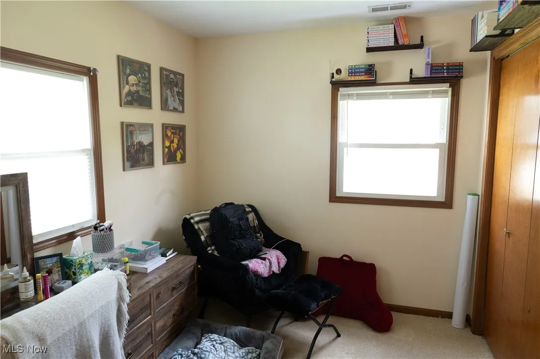 Sitting room featuring carpet flooring and plenty of natural light