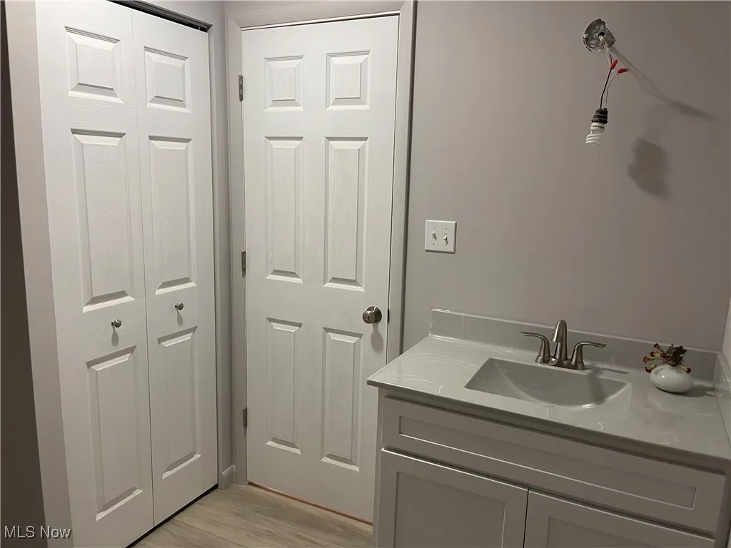 Bathroom featuring wood finished floors and vanity