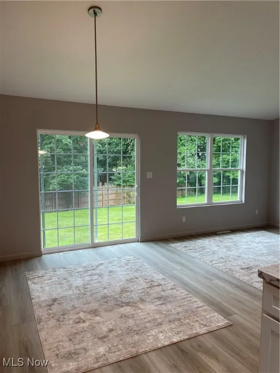 Unfurnished dining area with baseboards and wood finished floors