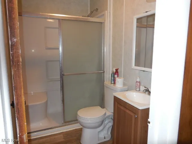 Bathroom featuring vanity, a stall shower, and wood finished floors