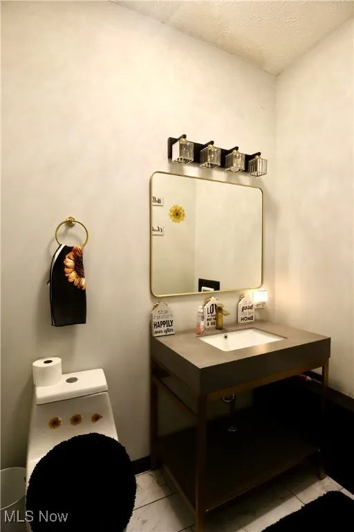 Half bathroom featuring vanity, a textured ceiling, and pet washing station