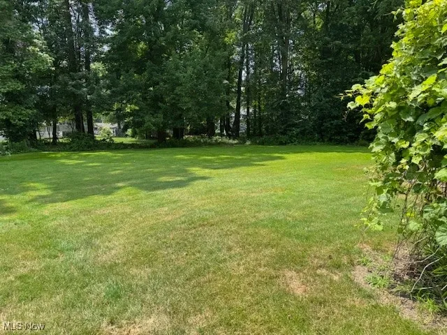 rear yard