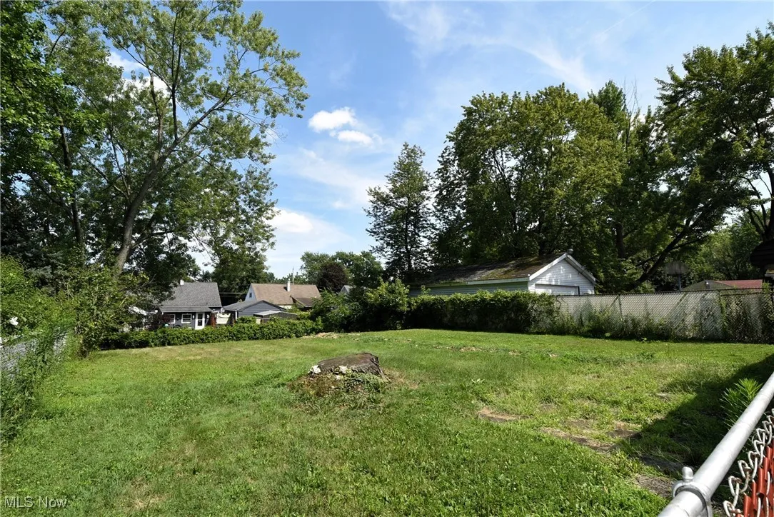 View of backyard