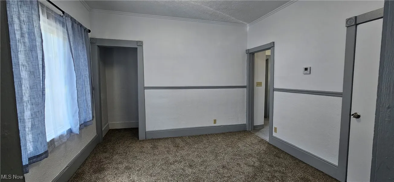 Dining room featuring new carpet flooring, ornamental molding, and a textured ceiling