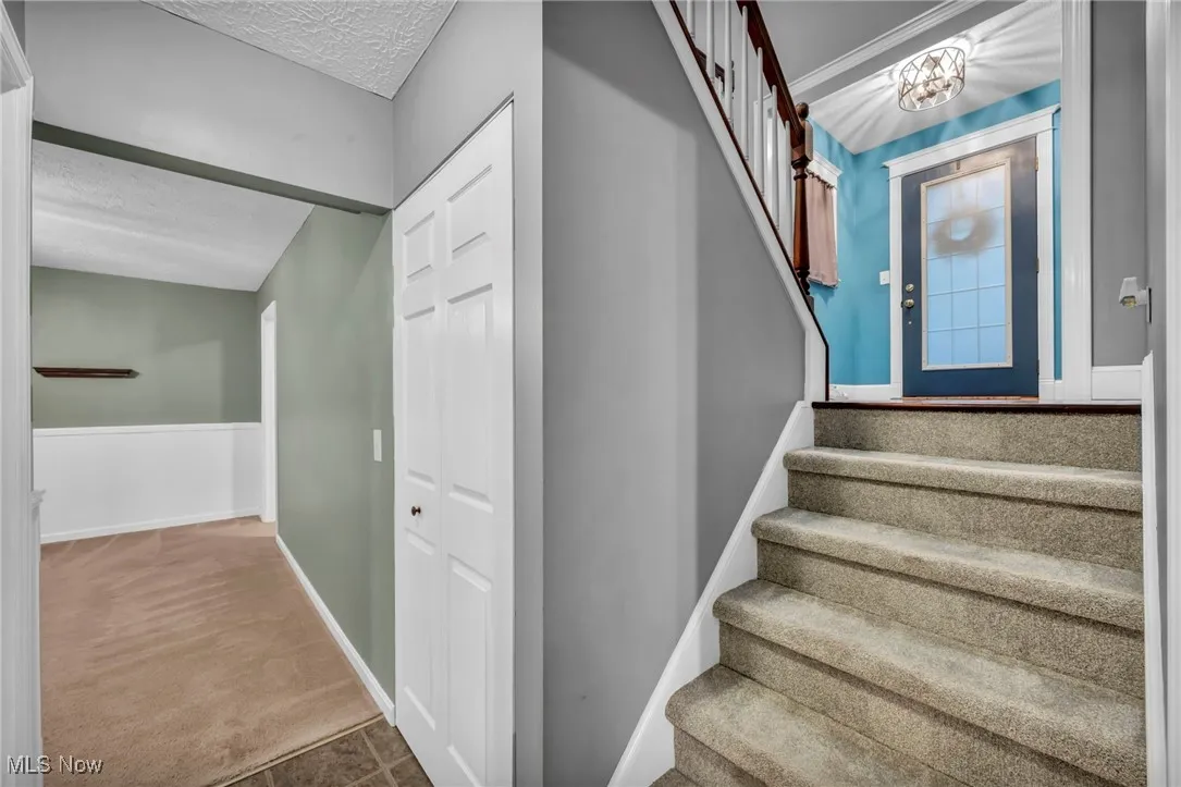 Stairs with carpet floors and a textured ceiling