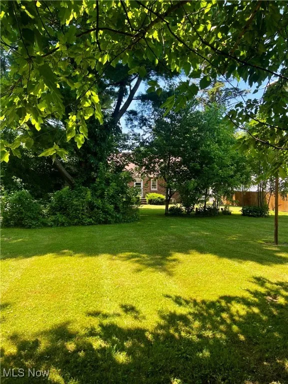 View of green lawn
