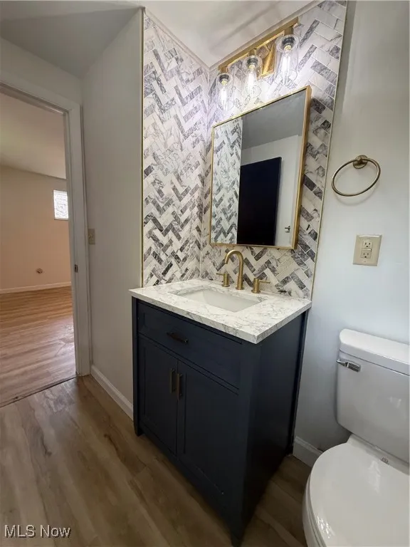 Bathroom with vanity, wood finished floors, and tasteful backsplash