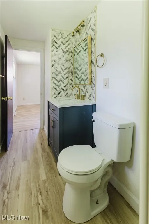 Bathroom featuring wood finished floors and vanity