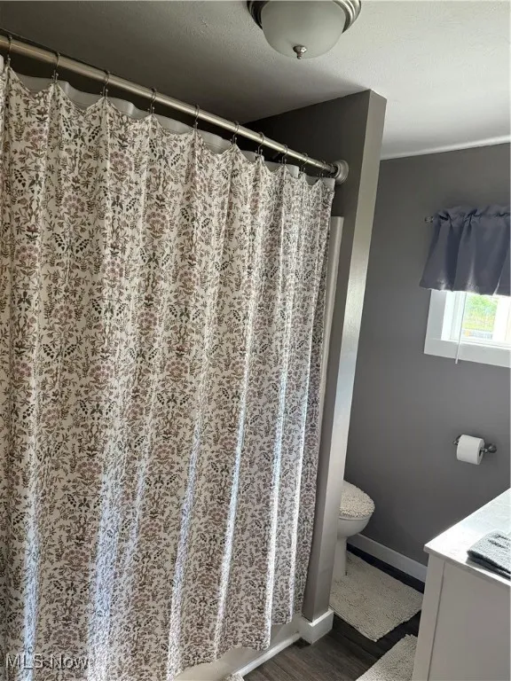 Full bath with vanity, wood finished floors, and a shower with shower curtain