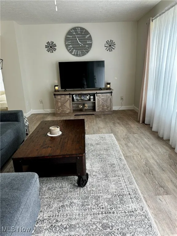 Living area featuring a textured ceiling and wood finished floors