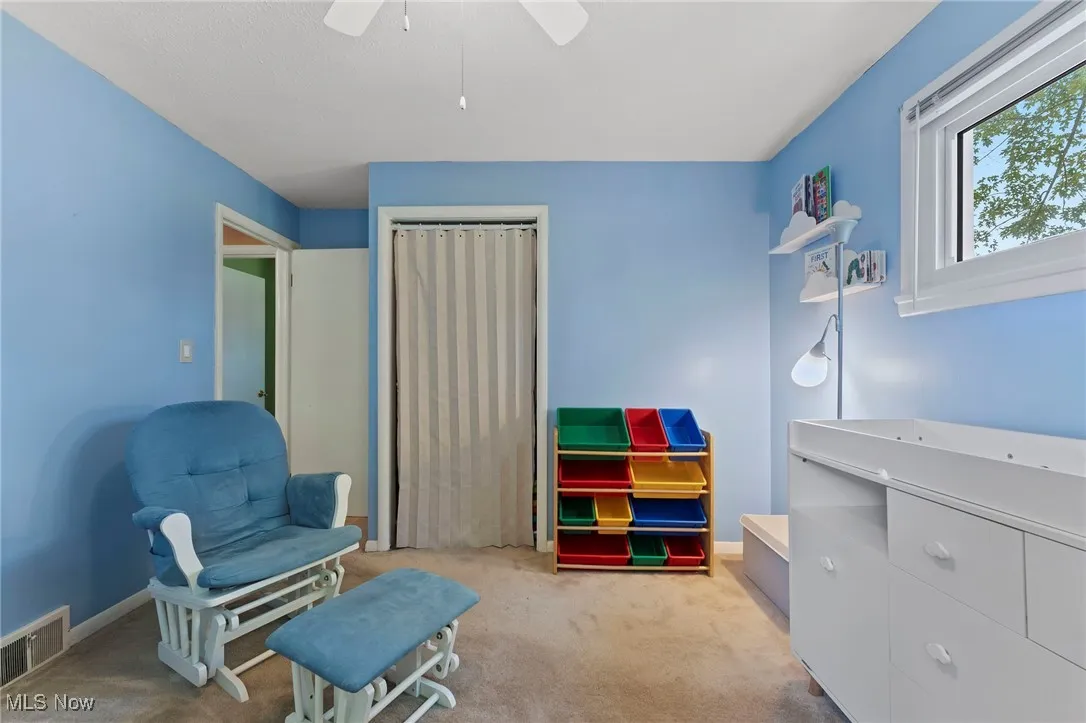 Living area featuring carpet floors and a ceiling fan