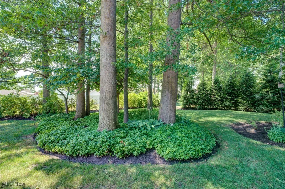 Private rear yard.