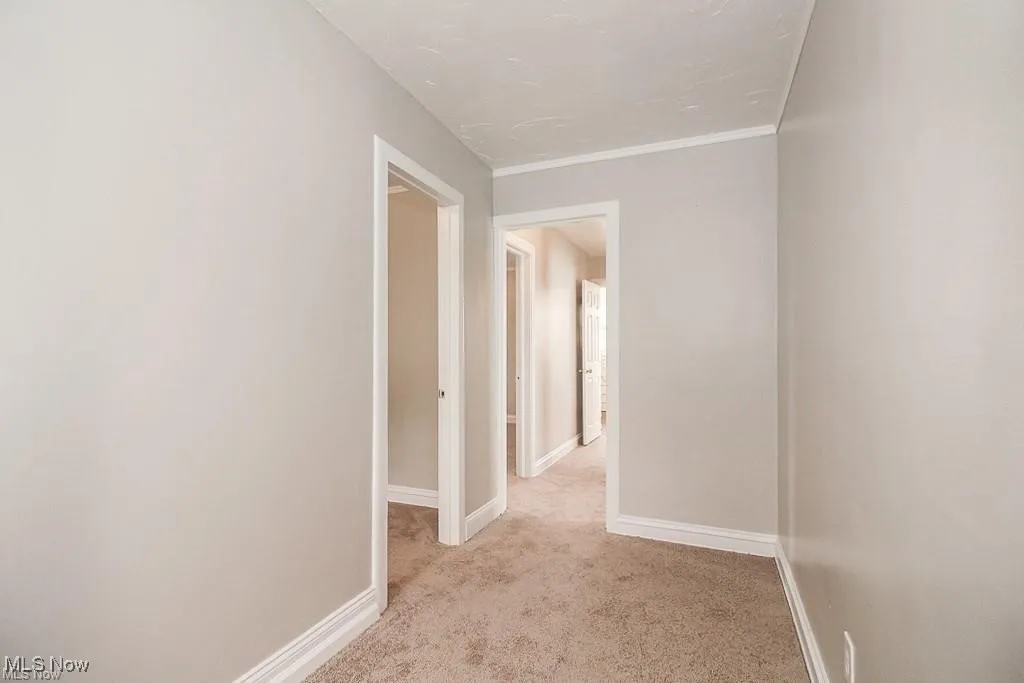Hallway featuring carpet flooring and ornamental molding