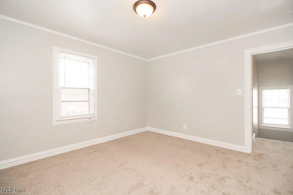 Unfurnished room featuring carpet and ornamental molding