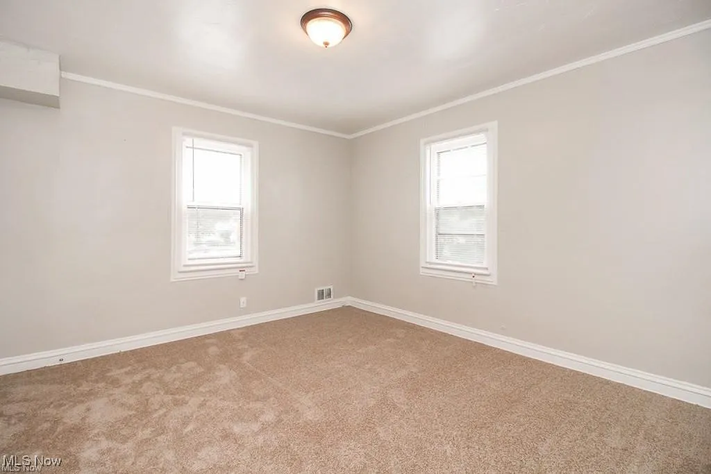 Carpeted spare room featuring ornamental molding and plenty of natural light