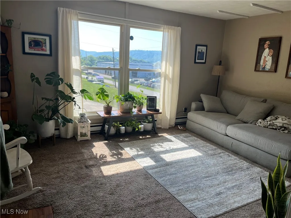 Carpeted living room featuring a water and mountain view