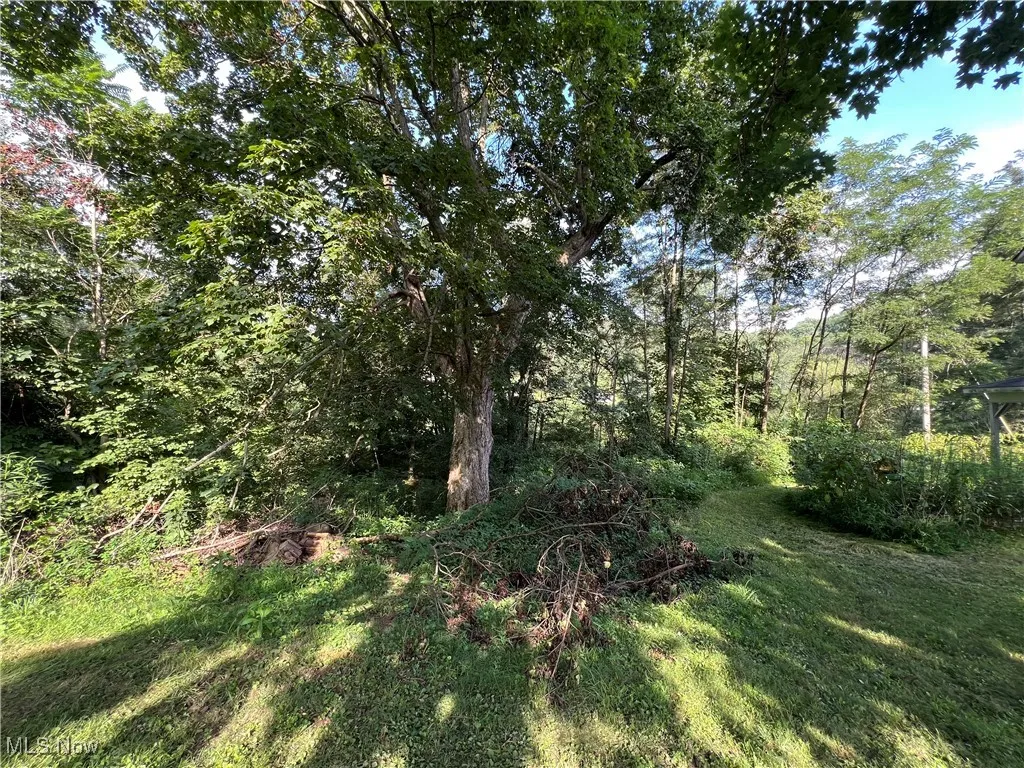 60570 Township Road 104, Newcomerstown, Ohio,MLS Now Listing ID