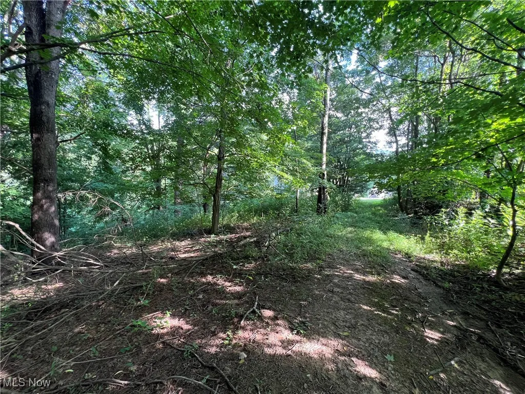 60570 Township Road 104, Newcomerstown, Ohio,MLS Now Listing ID