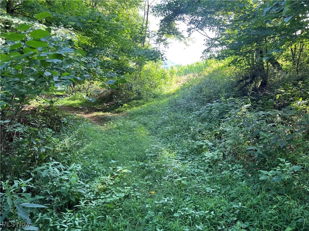 60570 Township Road 104, Newcomerstown, Ohio,MLS Now Listing ID