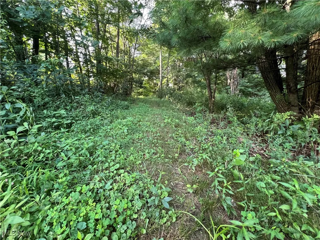 60570 Township Road 104, Newcomerstown, Ohio,MLS Now Listing ID