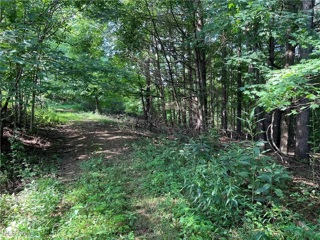 60570 Township Road 104, Newcomerstown, Ohio,MLS Now Listing ID