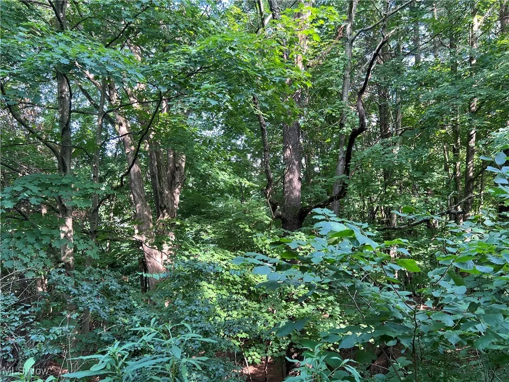 60570 Township Road 104, Newcomerstown, Ohio,MLS Now Listing ID