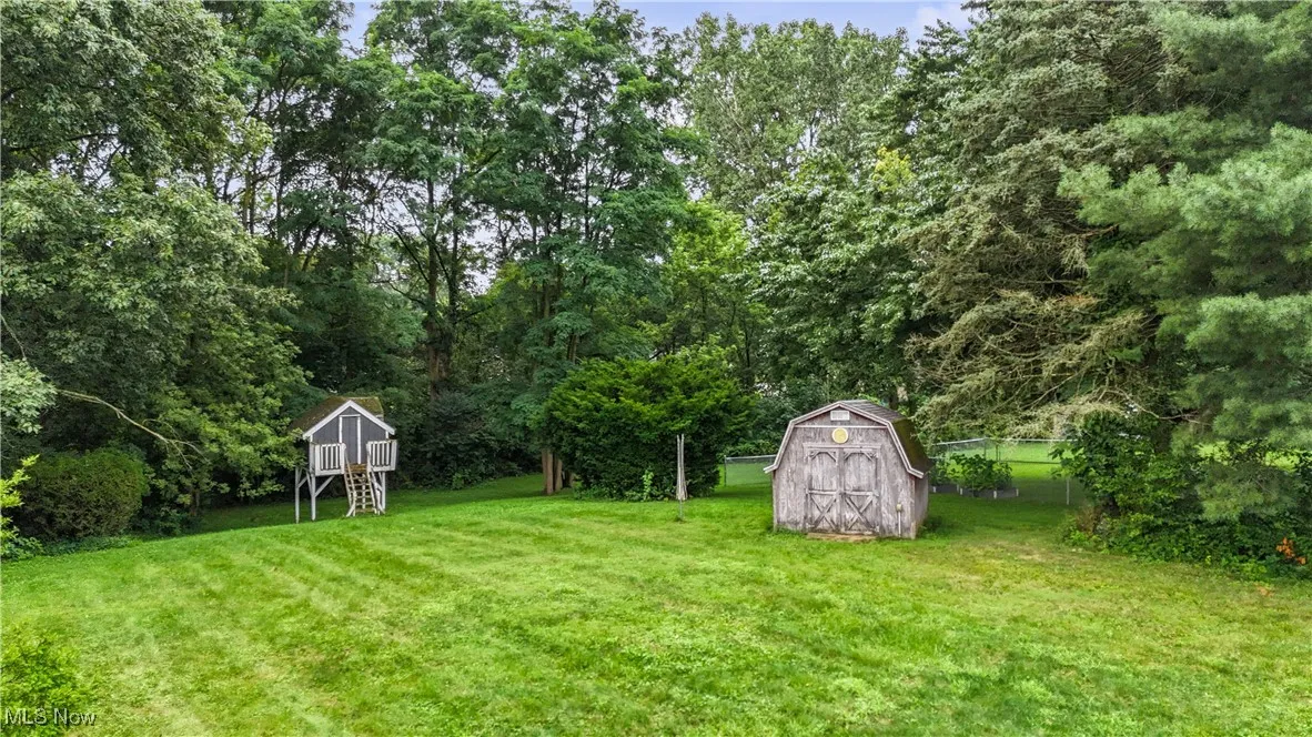 View of grassy yard with a storage shed