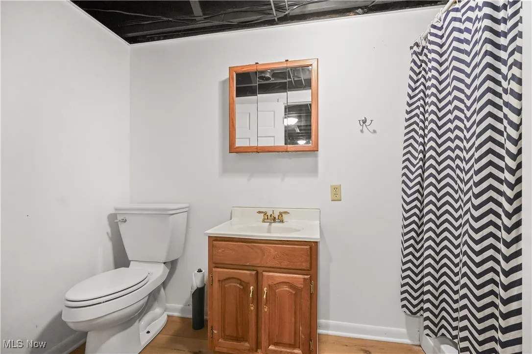 Bathroom featuring vanity, wood finished floors, and a shower with curtain