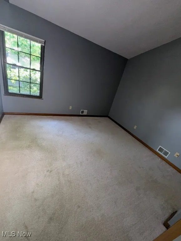 1133 Red Tail Hawk Court # 6, Boardman, Ohio,MLS Now Listing ID
