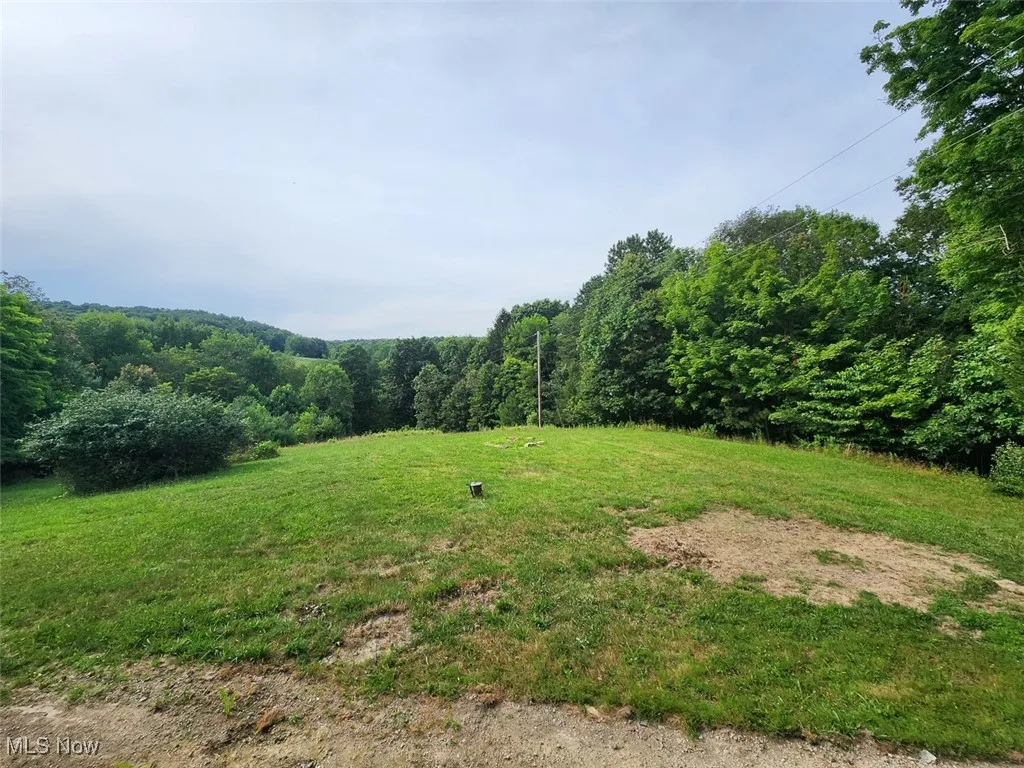 View of yard with a view of trees