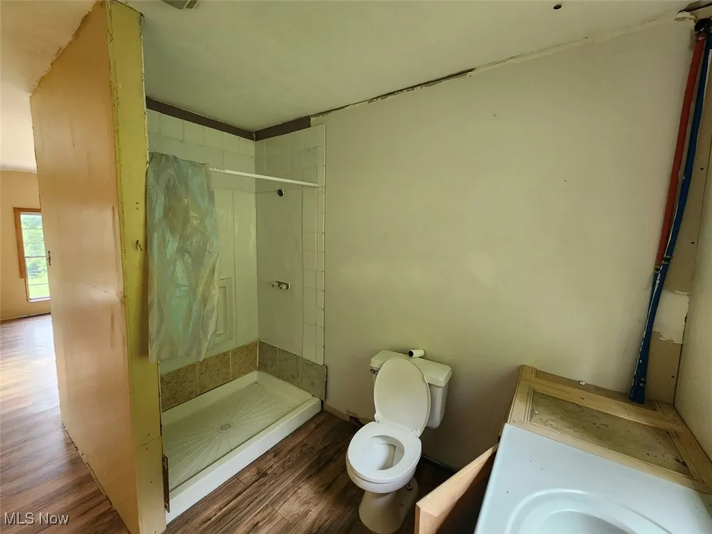 Bathroom featuring wood finished floors, a shower stall, and vanity