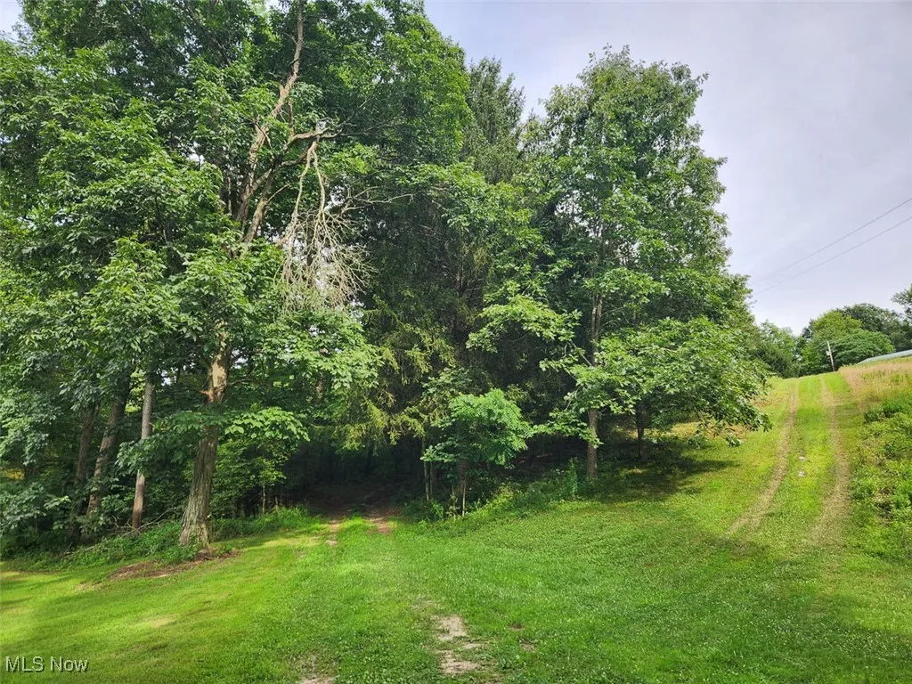View of grassy yard