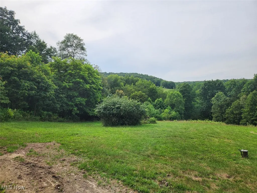 View of green lawn with a forest view